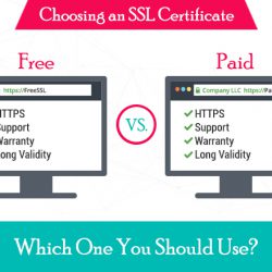 The difference between free and paid ssl